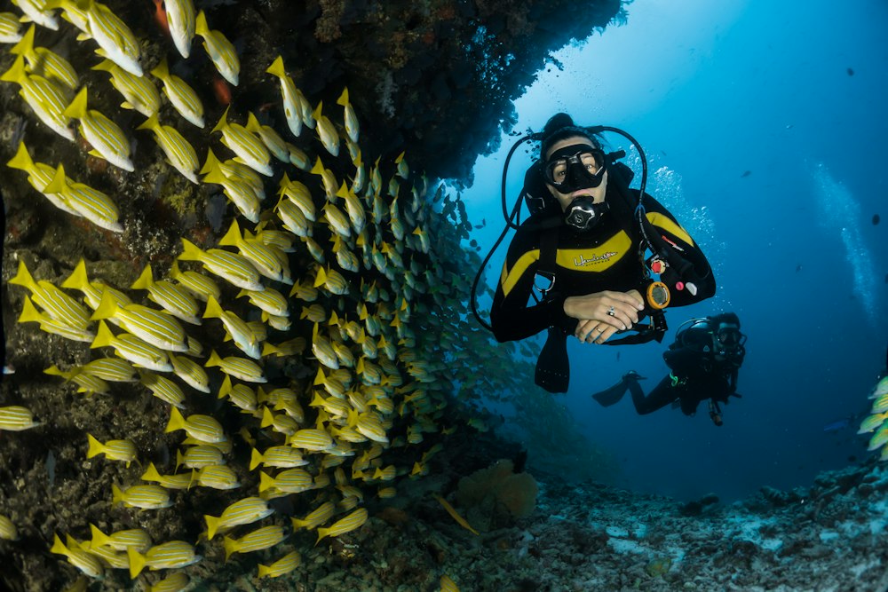 Diver entering Lembeh water